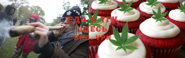 индика Великий Новгород