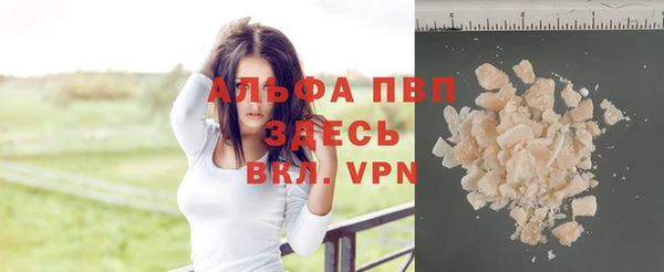 спиды Новозыбков