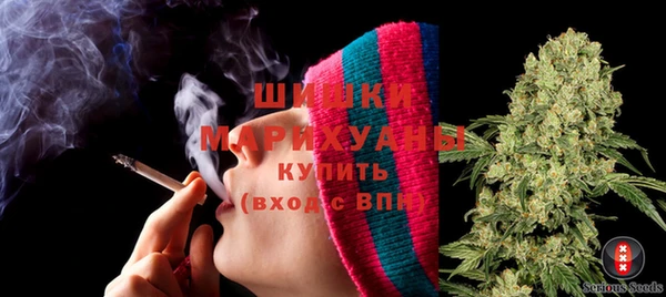 спиды Новозыбков