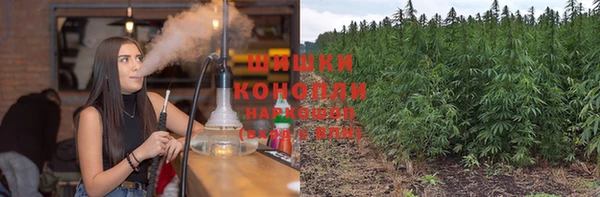 спиды Новозыбков