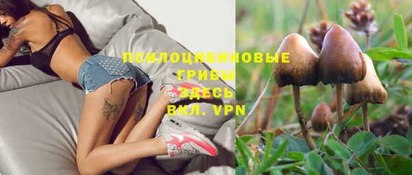 спиды Новозыбков