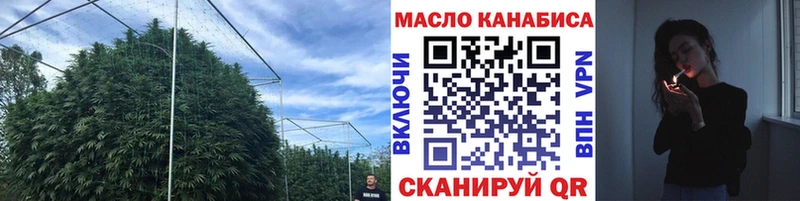 купить сайты Котельнич ТГК жижа