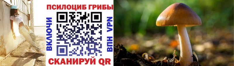 дарк нет телеграм  Котельнич  Псилоцибиновые грибы мицелий  hydra маркетплейс 